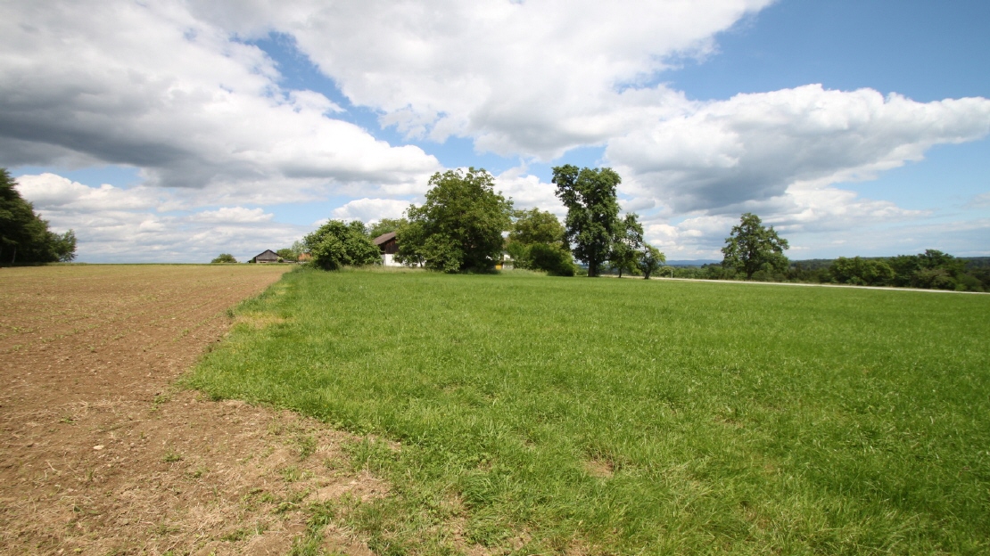 Referenzobjekte Würzburger Immobilien Vilshofen Referenzobjekte Würzburger Immobilien Vilshofen