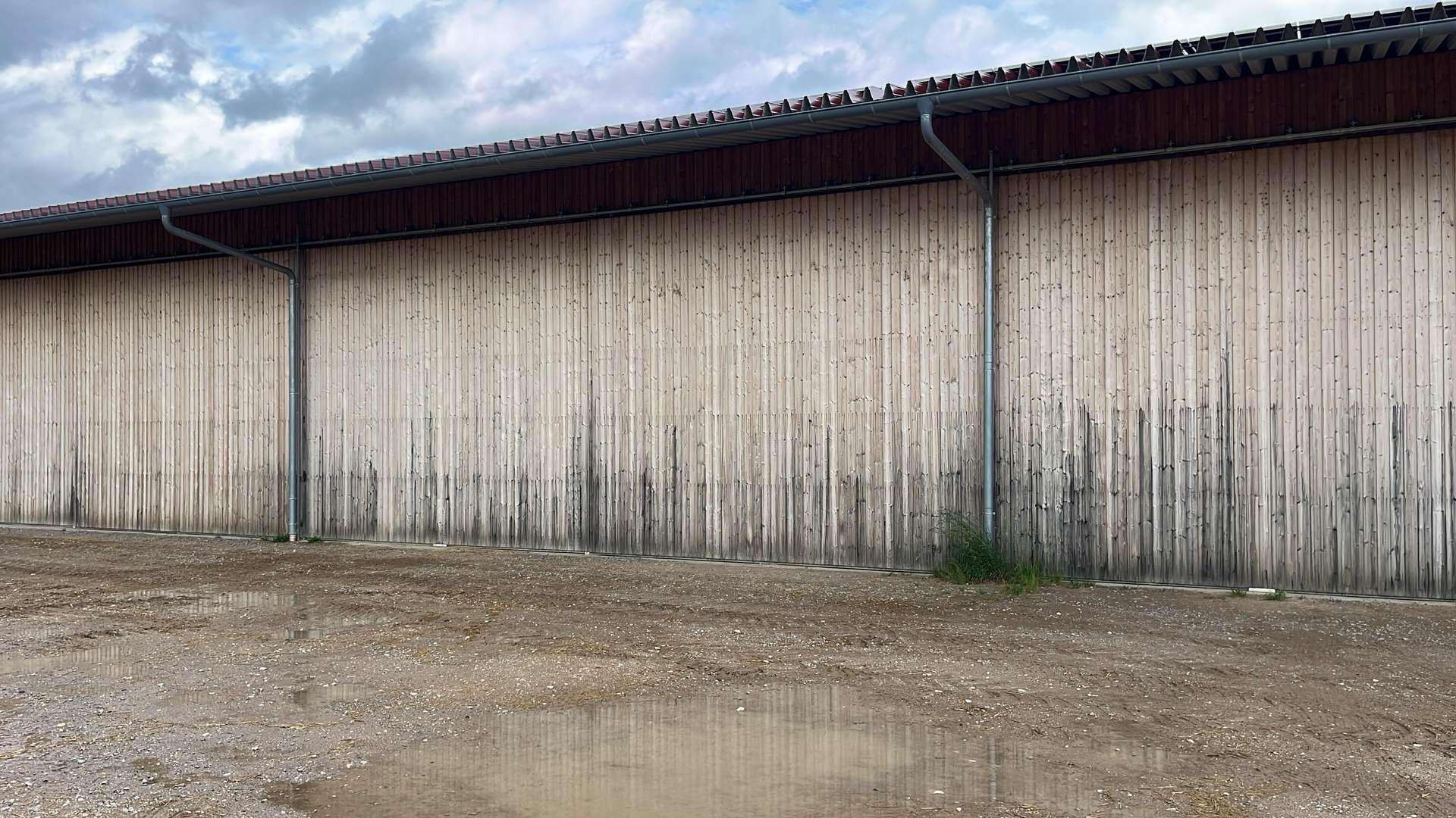 Landwirtschaftliche Mehrzweckhalle m. PV-Anlage im südl. Landkreis Regensburg! in 