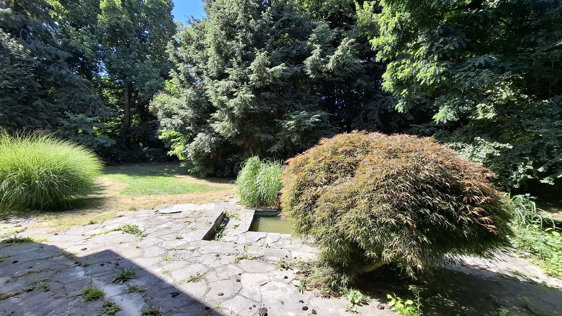 Entwicklungsprojekt: Ehem. Arztvilla mit 1.943 m² Grund in TOP-Lage von Vilshofen! in Vilshofen an der Donau