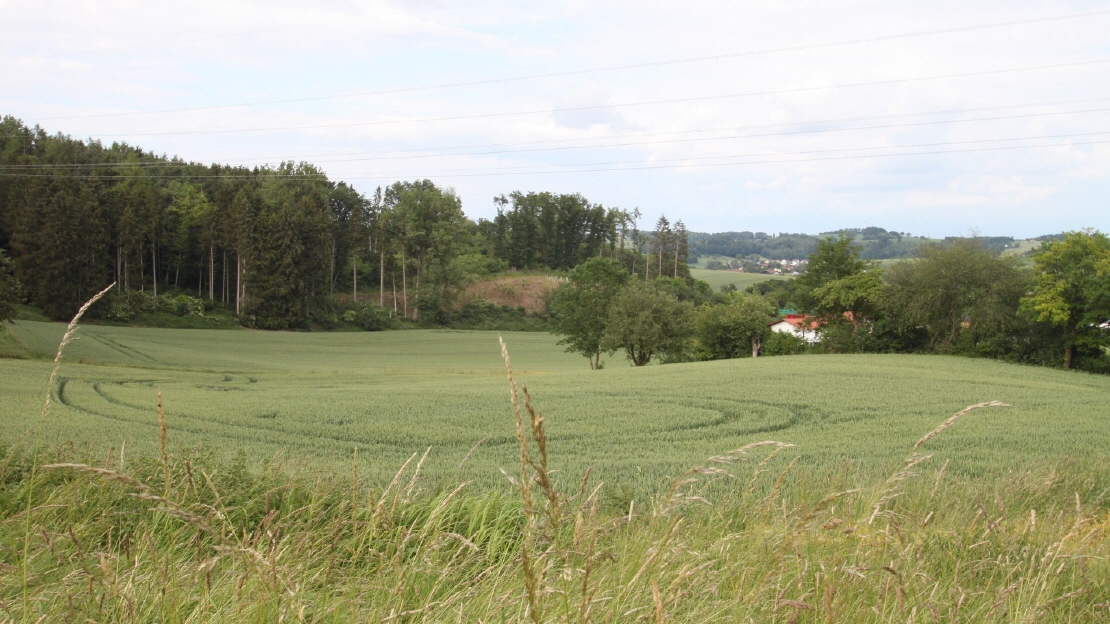 Referenzobjekte Würzburger Immobilien Vilshofen Referenzobjekte Würzburger Immobilien Vilshofen